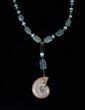 Stunning Fossil Ammonite Necklace With Tourmaline #15790-1